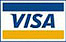 Visa Logo